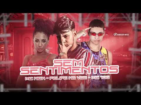 MC 10G E FELIPE NA VOZ E MC NICK - SEM SENTIMENTOS ( REMIX BREGA FUNK )