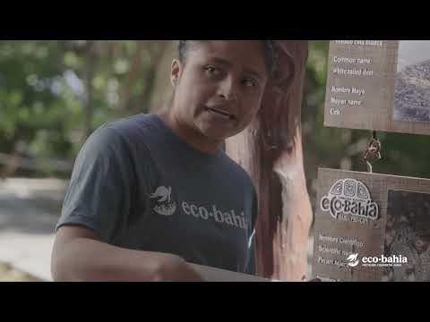 Fundación EcoBahia | Video corporativo 2025