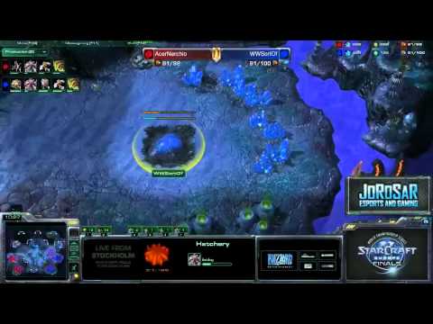 Acer Nerchio vs WWSortOf Game 2 - WCS EU Finals