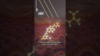 How Sunlight Creates Vitamin D