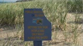 preview picture of video 'Private Beach New Buffalo, MI'