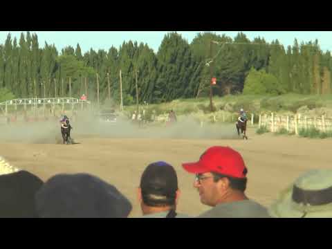 Empate COMO LA FLOR y MULITA Club Hipico "Cabo Alarcon" - Picun Leufu  -  15-01-2023