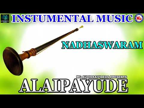 Alaipayude | Instrumental Music | Nadswaram Solo | Classical Songs Instrumental
