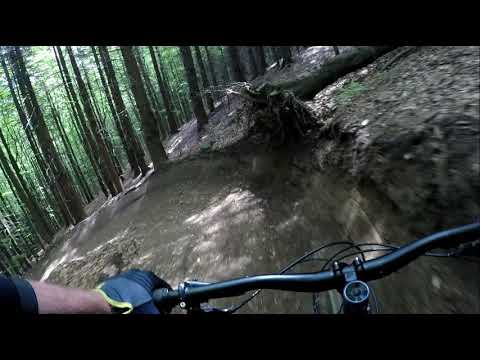 Bikepark Kouty nad Desnou Medvědice 2019