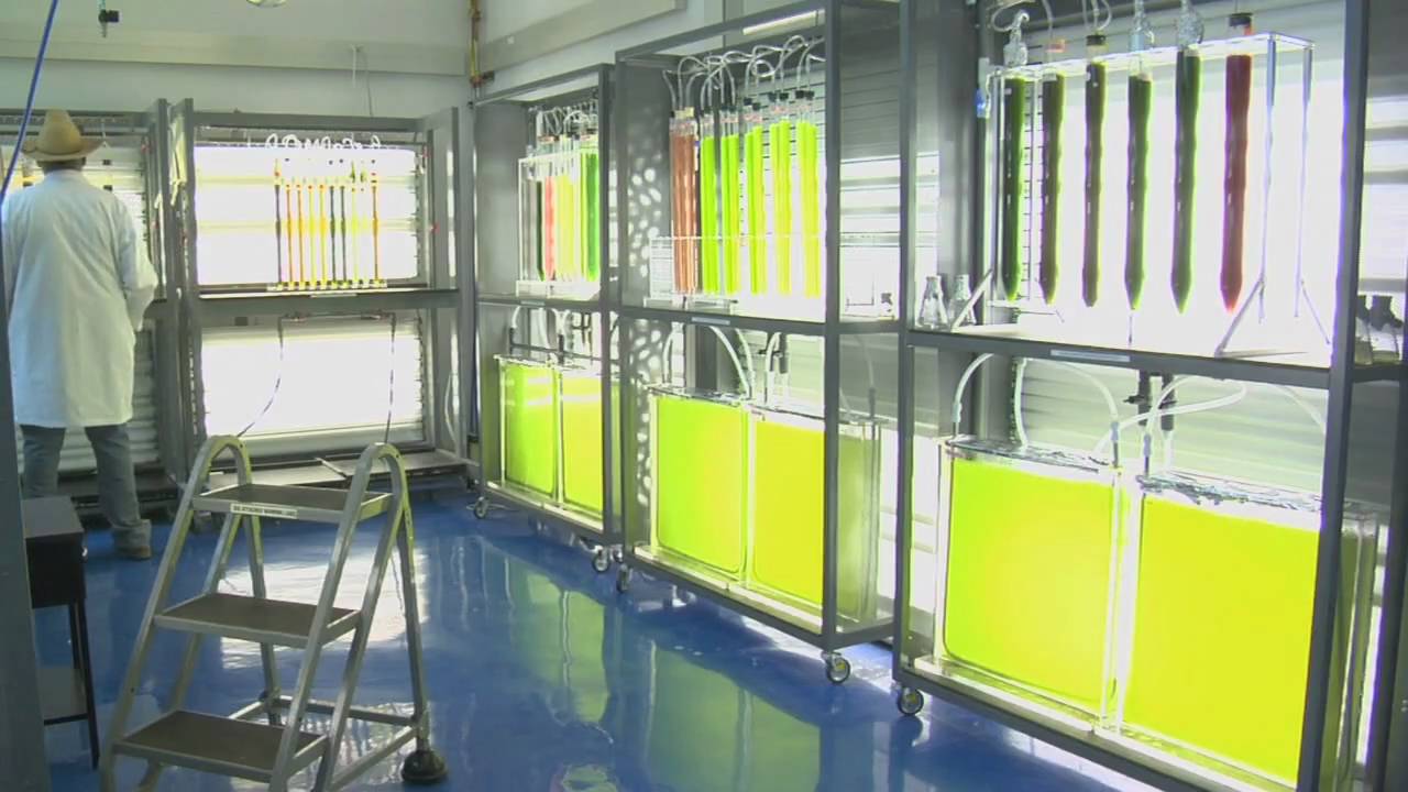 ASU Laboratory for Algae Research (LARB)