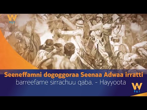 Seeneffamni dogoggoraa Seenaa Adwaa irratti barreefame sirrachuu qaba. - Hayyoota