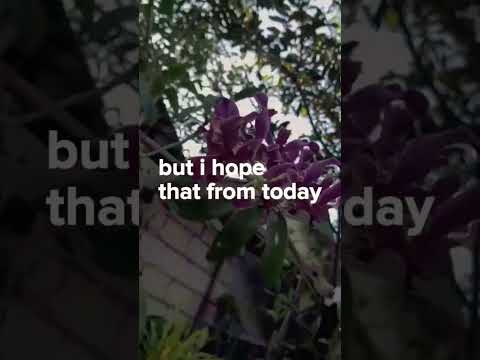 Promise me my Love don't take another heart❤️❤️❤️ #2024 #remix #lovesong