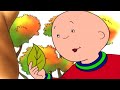 Caillou And The Autumn Leaves Caillou Cartoon