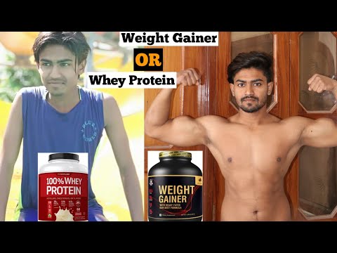 Whey Protein Or Mass Gainer|Protein Or Gainer Which is best for skinny Guys
