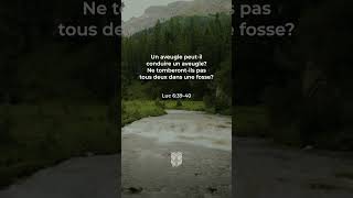 📖 Luc 6:39-40 Louis Segond #biblevision #labible