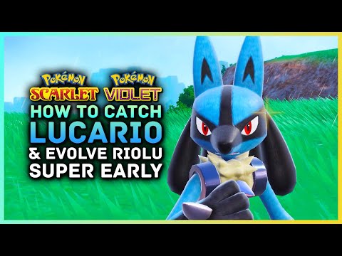 Pokemon Scarlet and Violet  - How To Catch Lucario & Riolu Super Early  | Lucario Location Guide