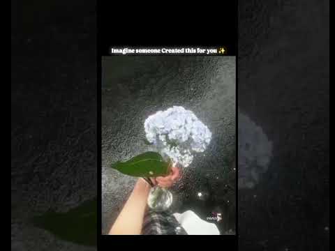 imagine 🌷✨ #findingher #fy #flowers