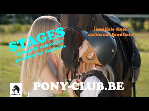 stages pony pub