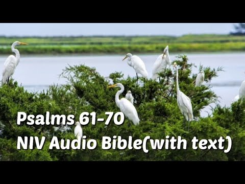 Psalms 61-70: NIV Audio Bible(with text)