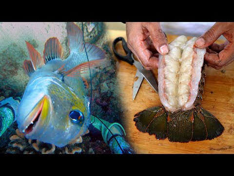 Solo Camp Mission - How To Stuff Lobster
