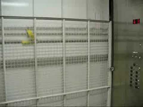 Schindler Traction Freight Elevator at the ME Building