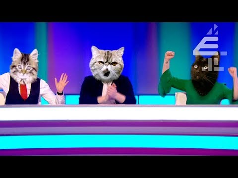 Thumbnail of the video: TRAILER | Brand New Series of 8 Out of 10 Cats - Starting 24th March!