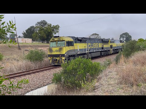 Qube QL001 & QL008 with 4WB7 at Oakhampton - 3/8/23