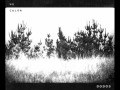 the dodos - black night (2011) EXCLUSIVE!