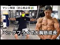 初心者必見‼︎ペックフライ解説動画