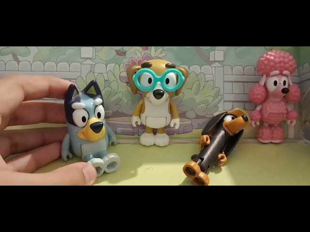 Vídeo relacionado con Bluey Pack 4 Figuras, Special Set, Figuras Articuladas Amigos Preparados para IR de Aventuras, Muñecos de la Serie Infantil, Juguetes Exclusivos, Famosa (BLYA0100)