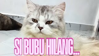 Download lagu BUBU KEMANA? mp3 Download lagu BUBU KEMANA? mp3