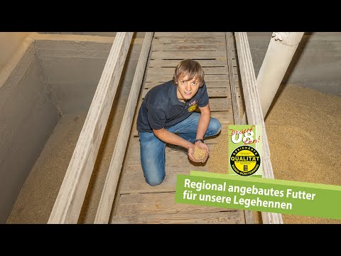 Regionales Hühnerfutter für unsere Legehennen