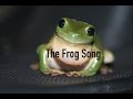 I Love you Frog official lyric video 