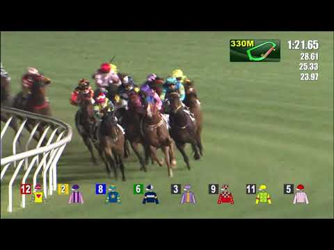 6/4/2022 (559) Humble Steed - Matthew Chadwick