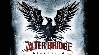 Brand New Start - Alter Bridge (Blackbird)