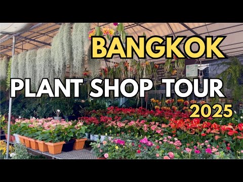 🇹🇭 Bangkok Plant Shop Tour 2025 | Biggest Plant Market In Bangkok | Thailand Chatuchak Market
