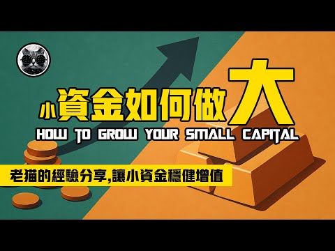 Thumbnail for 小資金如何做大？老貓的經驗分享，告別迷茫，讓小資金穩健增值，助你避開新手雷區，邁向持續盈利 | 老貓與指標
