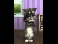 Randomness With A Cat