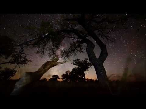 Alcohol En Tranen - Thé Lau