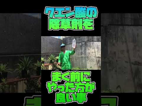 重曹と酢は天然の除草剤レシピで効果的に機能しますか?  庭園