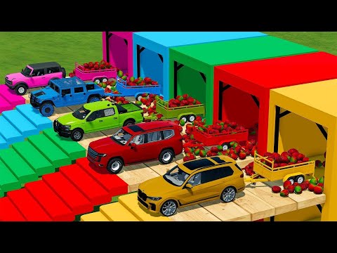 TRANSPORTING CARS, AMBULANCE, POLICE CARS, FIRE TRUCK OF COLORS! WITH TRUCKS! - FS 22