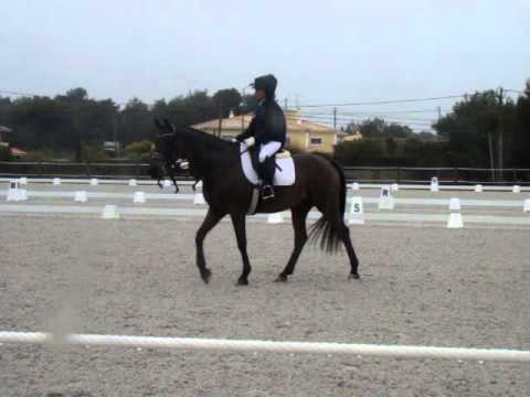 Carminho Marcelino e Tim Juniors Individual 10/04/16