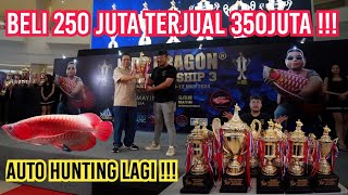 HOBI YANG MENGUNTUNGKAN‼️SIAPA BILANG HOBI IKAN BUANG DUIT⁉️ AUTO BELI IKAN LAGI