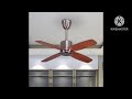 Only Fans