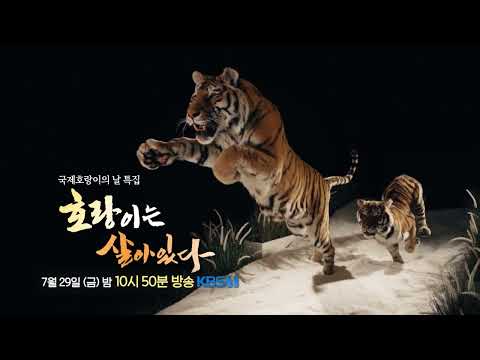 8/5 금전운 상승 호랑이의 날! 도쿄 카구라자카 비샤몬텐 칠복신 | 김타쿠닷컴