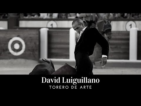 David Luguillano: Un torero ARTISTA