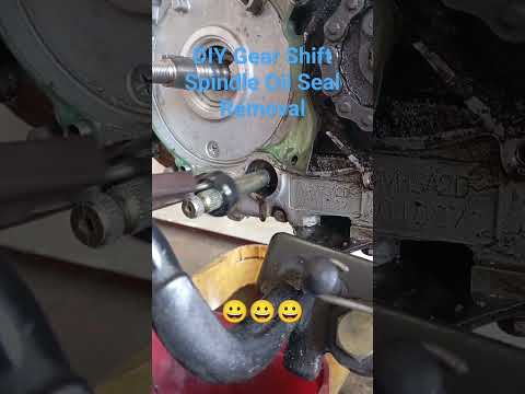 DIY Gear Shift Spindle Oil Seal Removal: Simplified