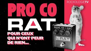 Video thumbnail for ProCo RAT - Pour ceux qui n'ont peur de rien... by RockologieTV