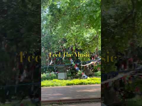 Feel the music #khagendraadhikari #ytshorts #sureliteri #viral