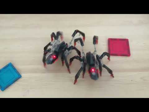HEX BOTS Tarantula vs HEXBUG Black Widow Mechanical Robotic Bugs