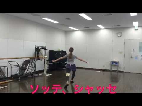 サッシャ・ナハトについて詳しく解説