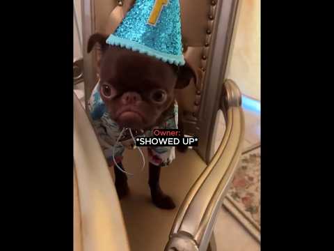 He Celebrated It Alone..💔😭