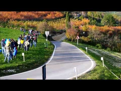 XXXI Rally Due Valli [2013]