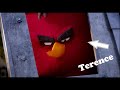 Angry Birds TERENCE Time