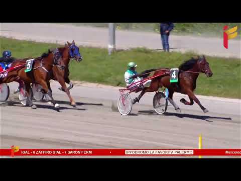 I Corsa del 12 aprile 2023 - 5 Anni ed oltre - Metri 1600